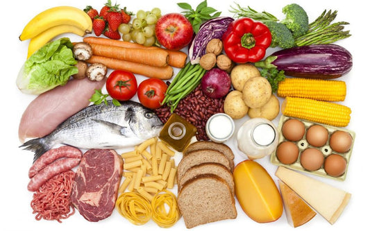 NUTRICIÓN CANINA – CARBOHIDRATOS