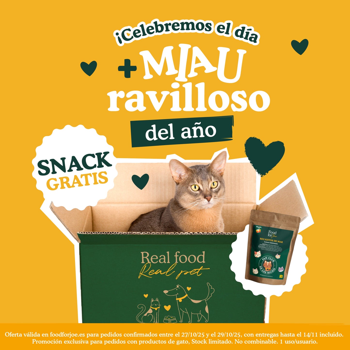 🎁 🎁 Snack Día del Gato 🎁😻 (100% off) (100% off)