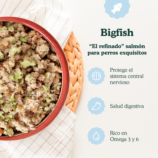 Bigfish - menú de pescado para perros 800g