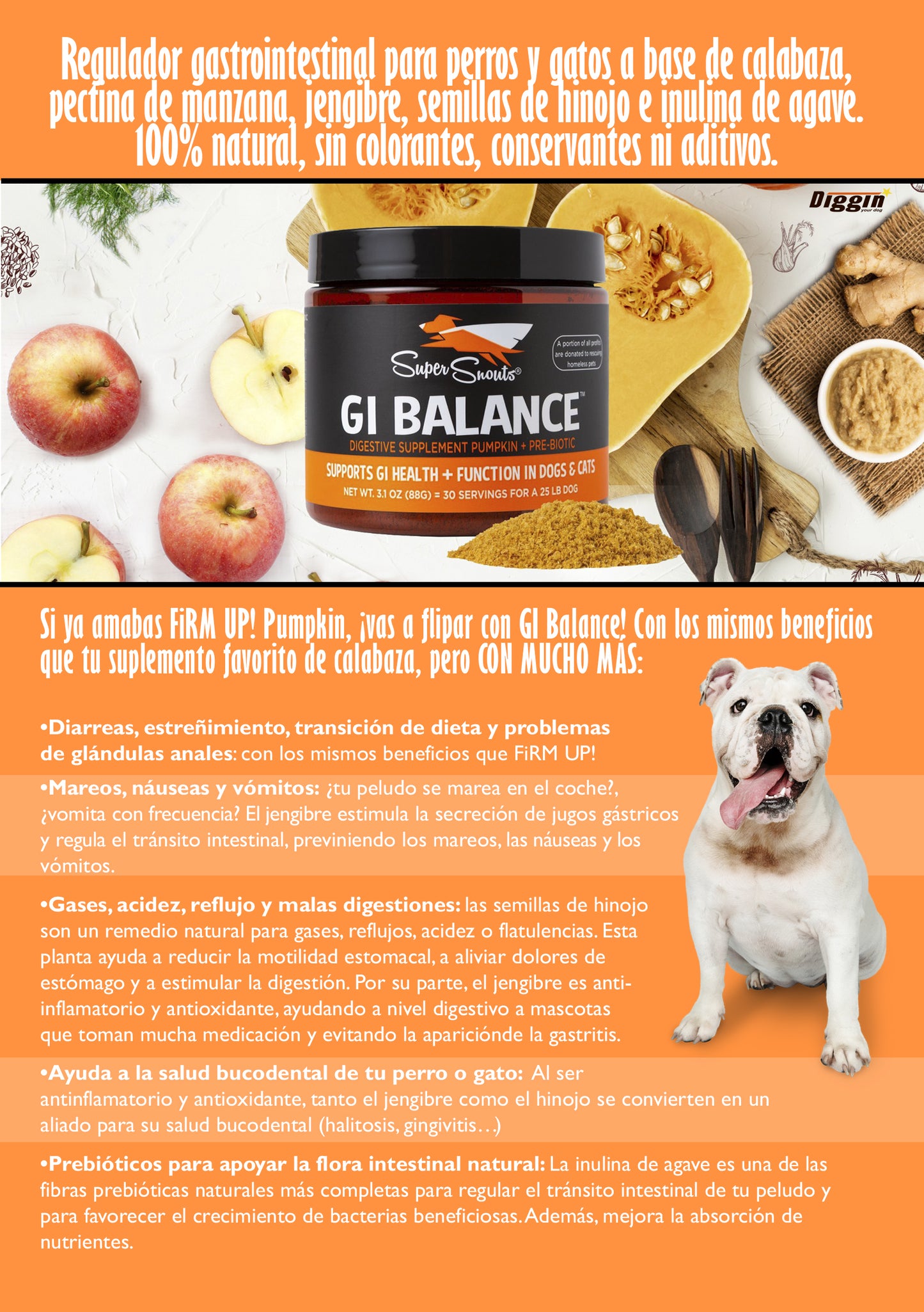 GI Balance Regulador Gastrointestinal - Stop Vómitos, Mareos y Reflujos