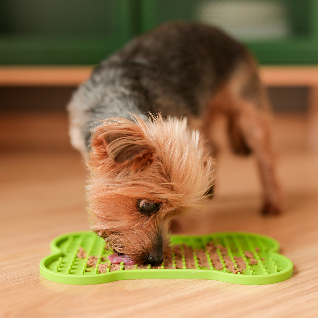 Comedero"licking mat"