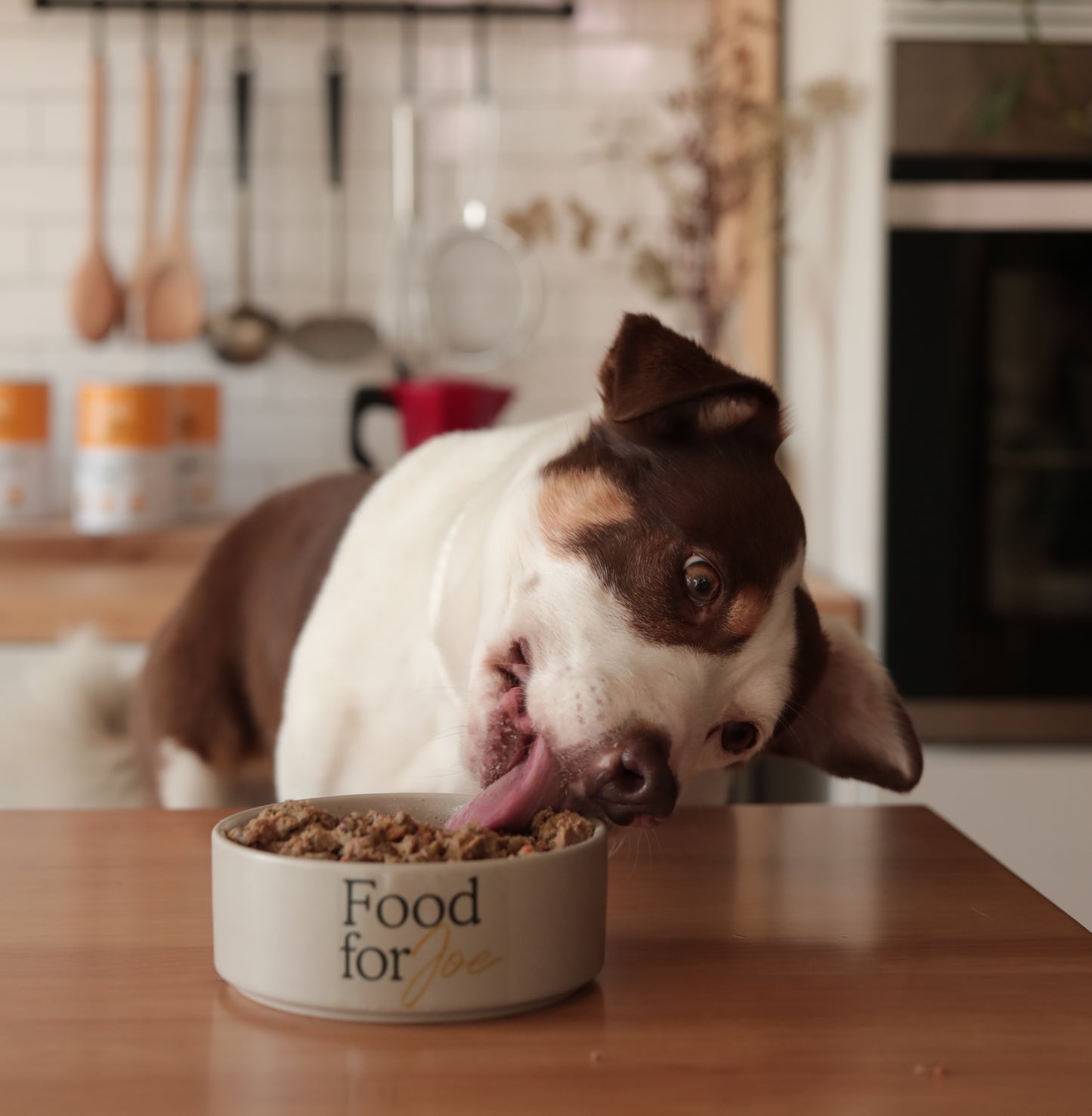 Beefit - menú de ternera para perros 300g