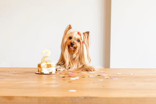 tartas para perros saludables