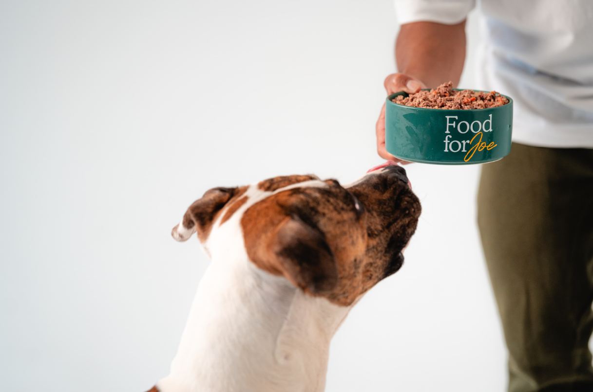 Alimentos que refuerzan las defensas de tu perro