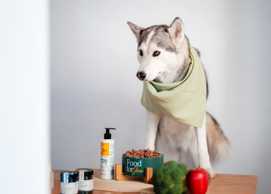 Omega-3 para los perros