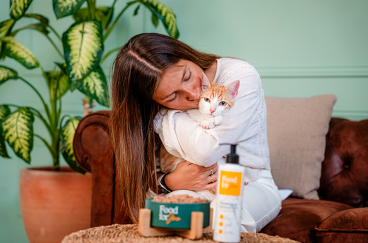 Fibra para gatos: ¿Qué impacto tiene en su salud?