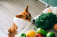 Lo que la comida nos cuenta de nuestro perro