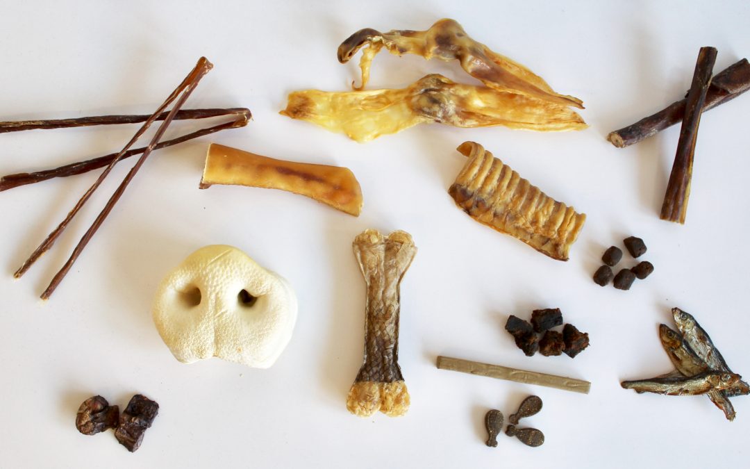 SNACKS SALUDABLES PARA NUESTROS PERRETES