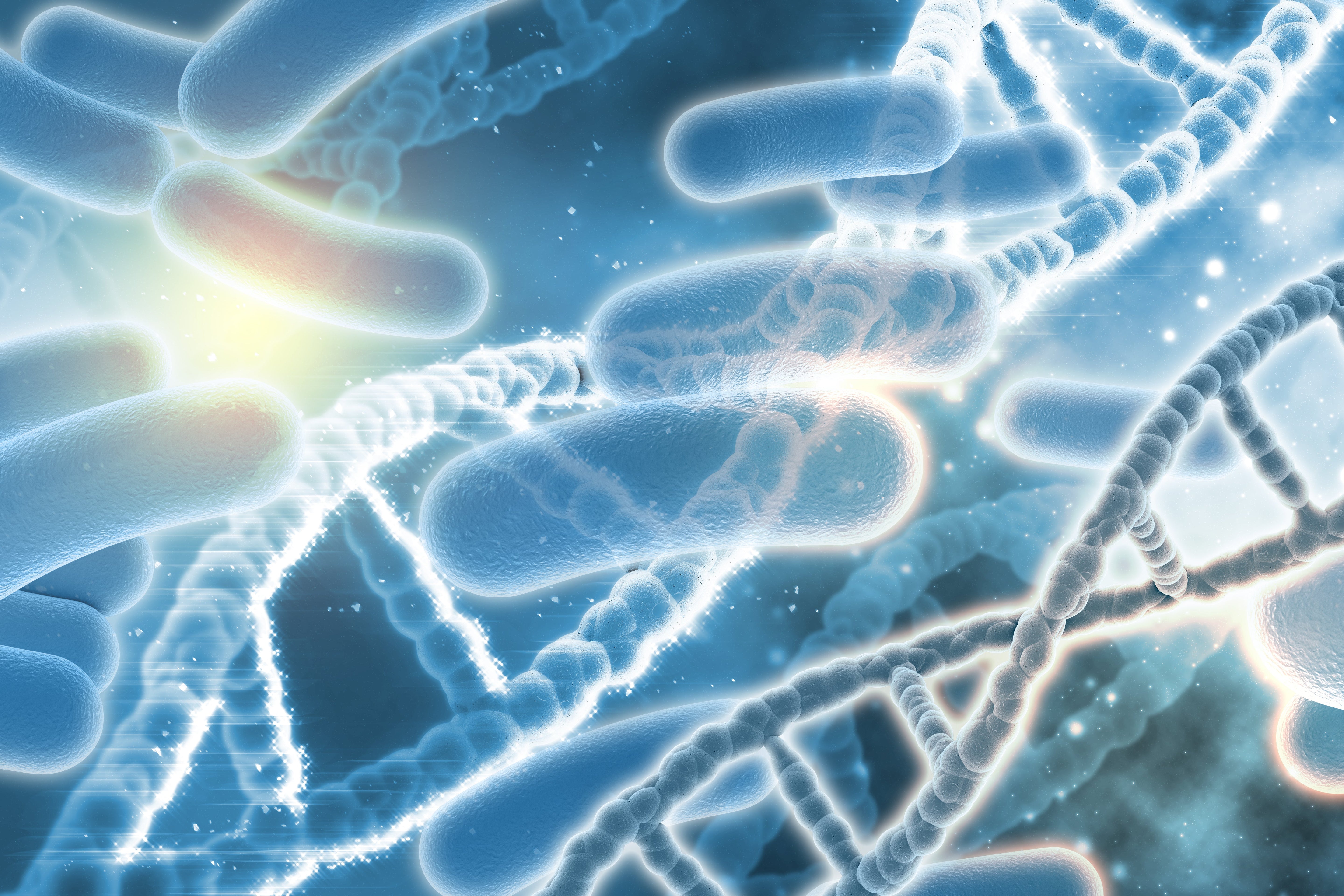 ¿Qué es la microbiota intestinal en perros?