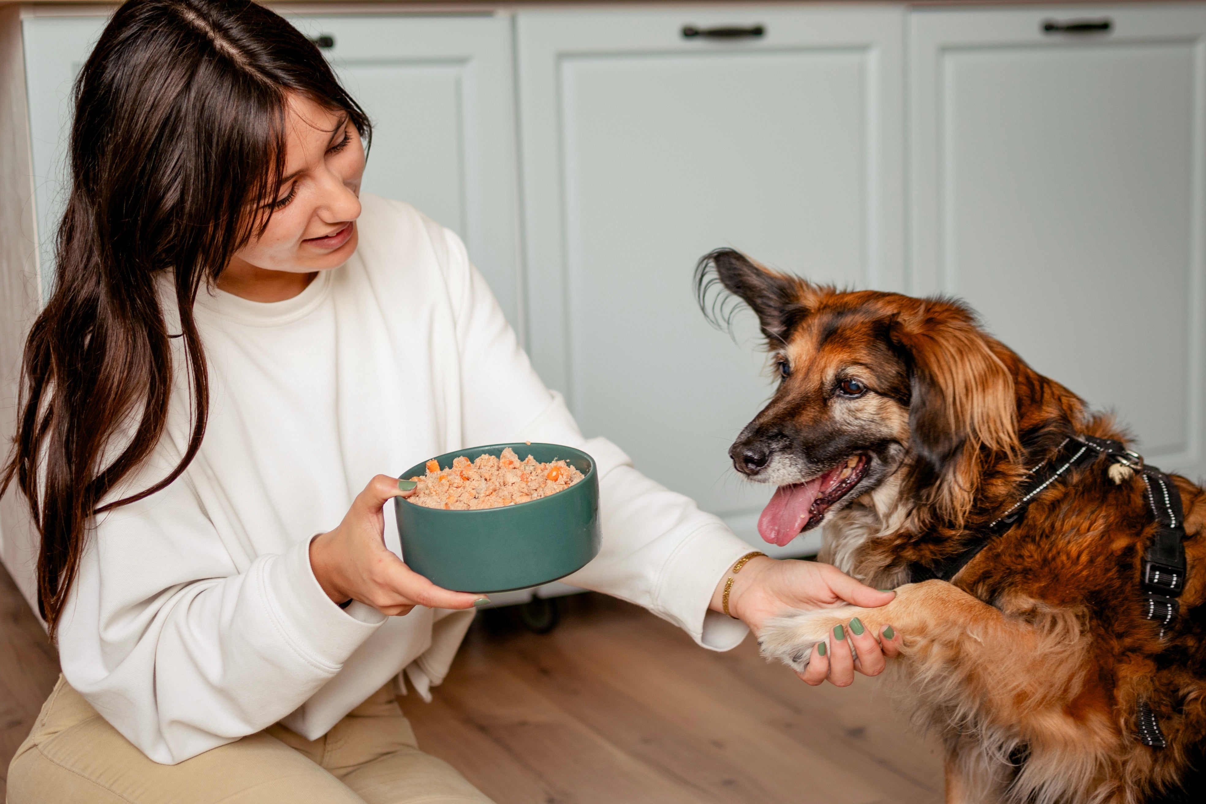 Diferencia Food for Joe y otras marcas