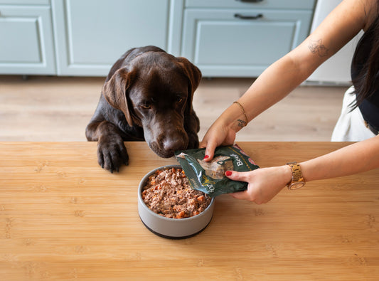 cuanto aguanta comida food for joe