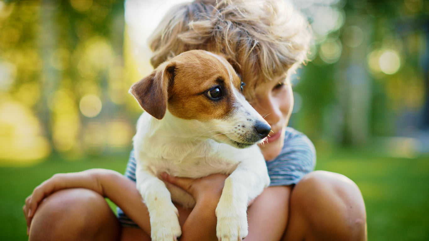 Niños y perros: empatía, responsabilidad y emociones