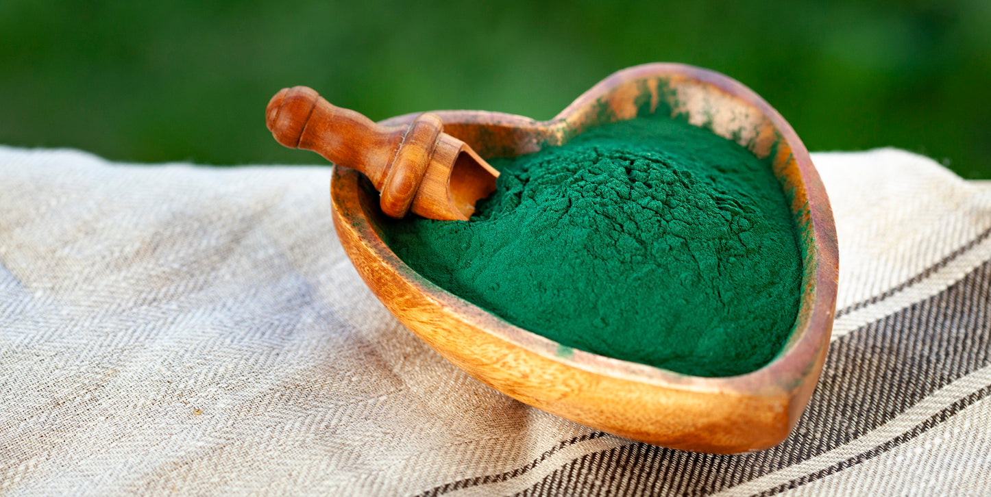 Beneficios y contradicciones de la espirulina para mascotas