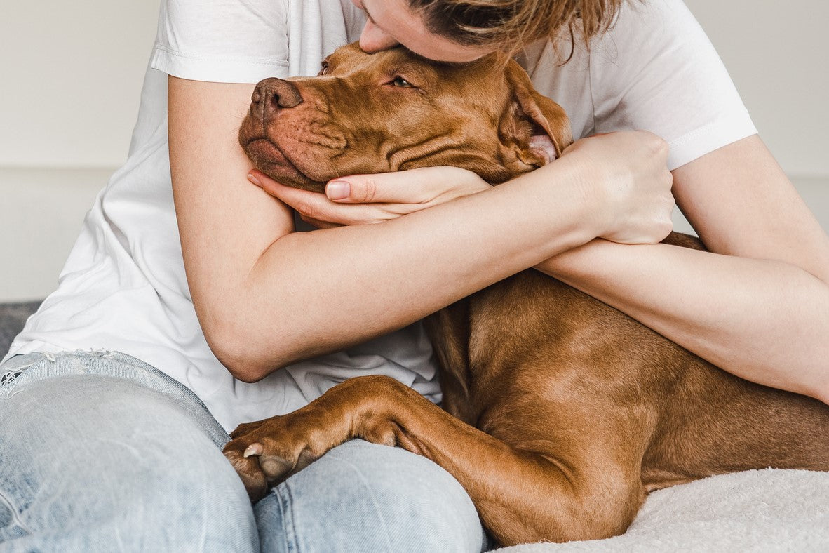 ¿Pueden los perros ayudarte a reducir el estrés?