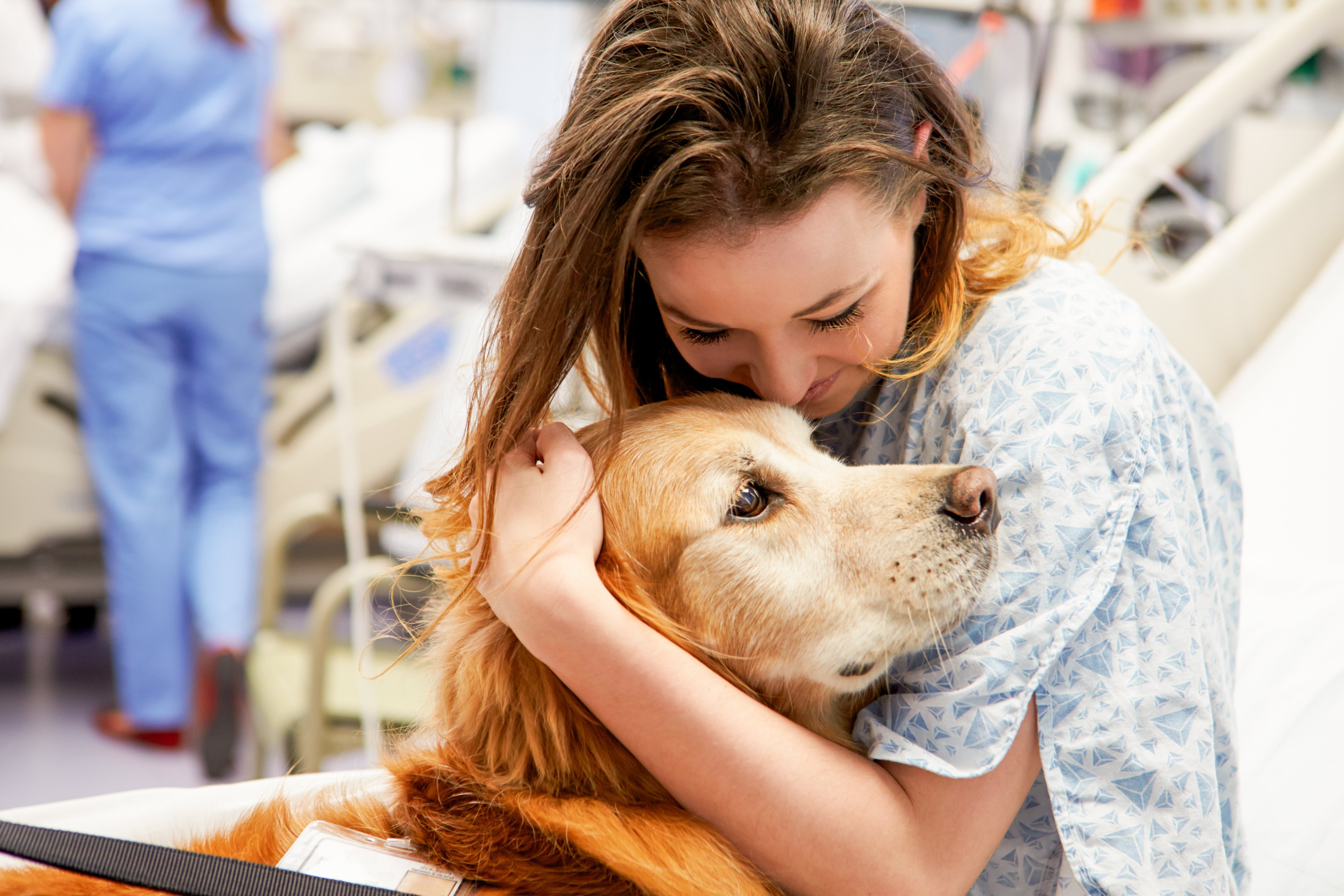 Cómo los perros influyen en nuestra salud mental y bienestar