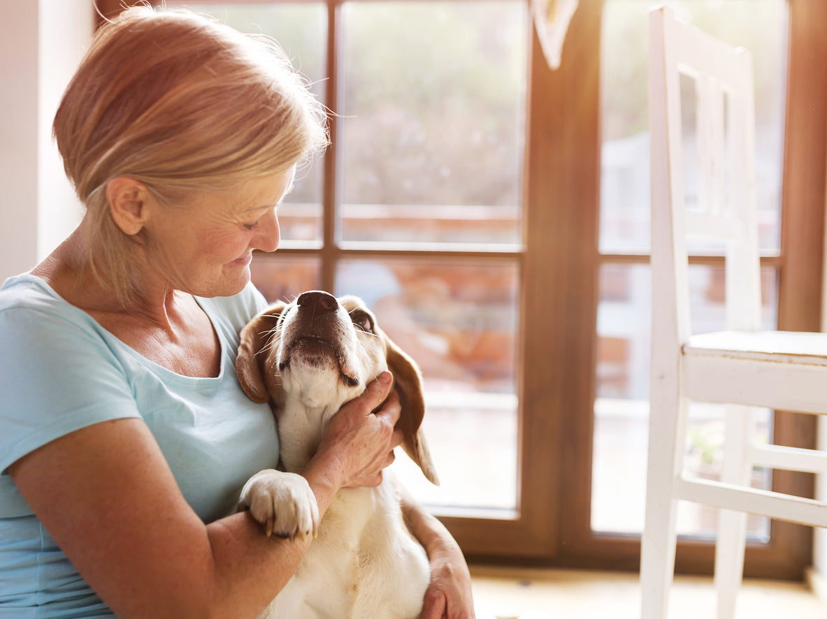 perro como puente emocional en contextos terapéuticos