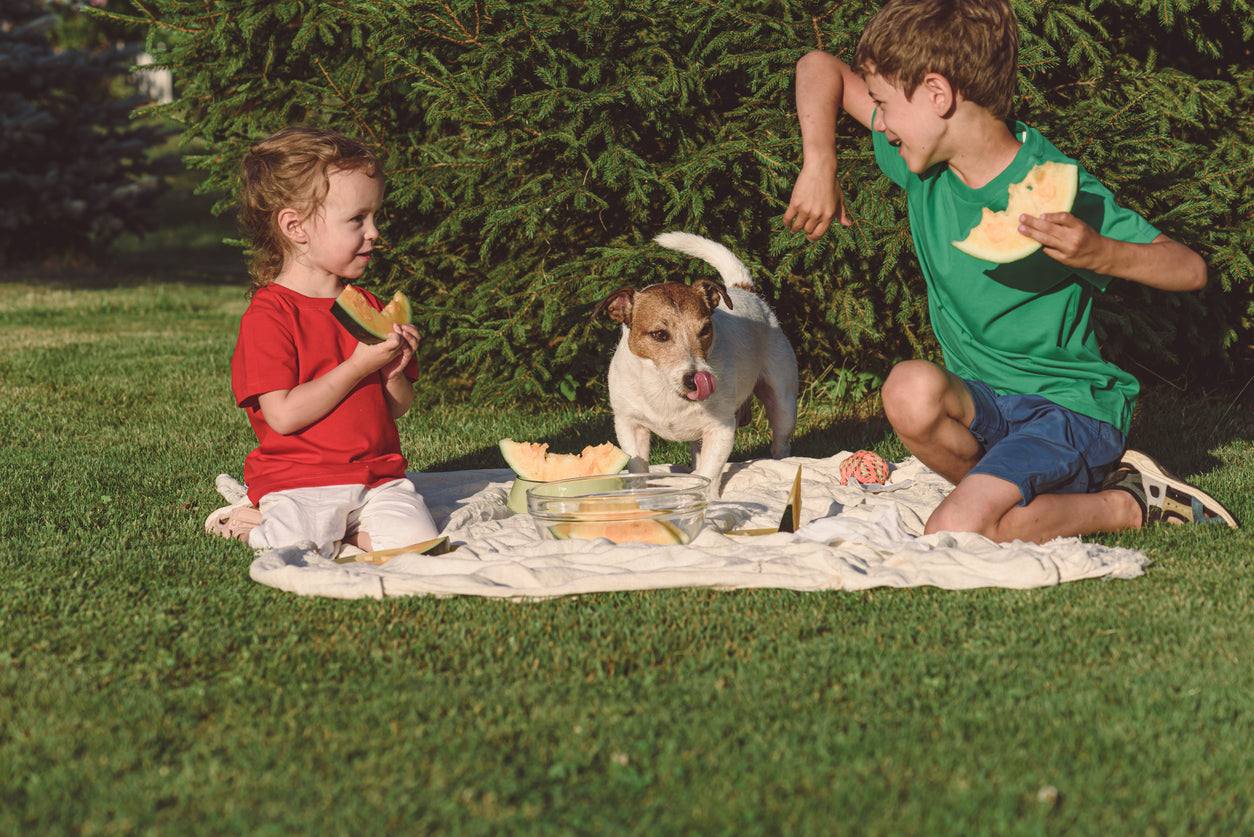 niños con un perro comiendo melón