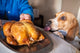 ¿Los perros pueden comer pollo?