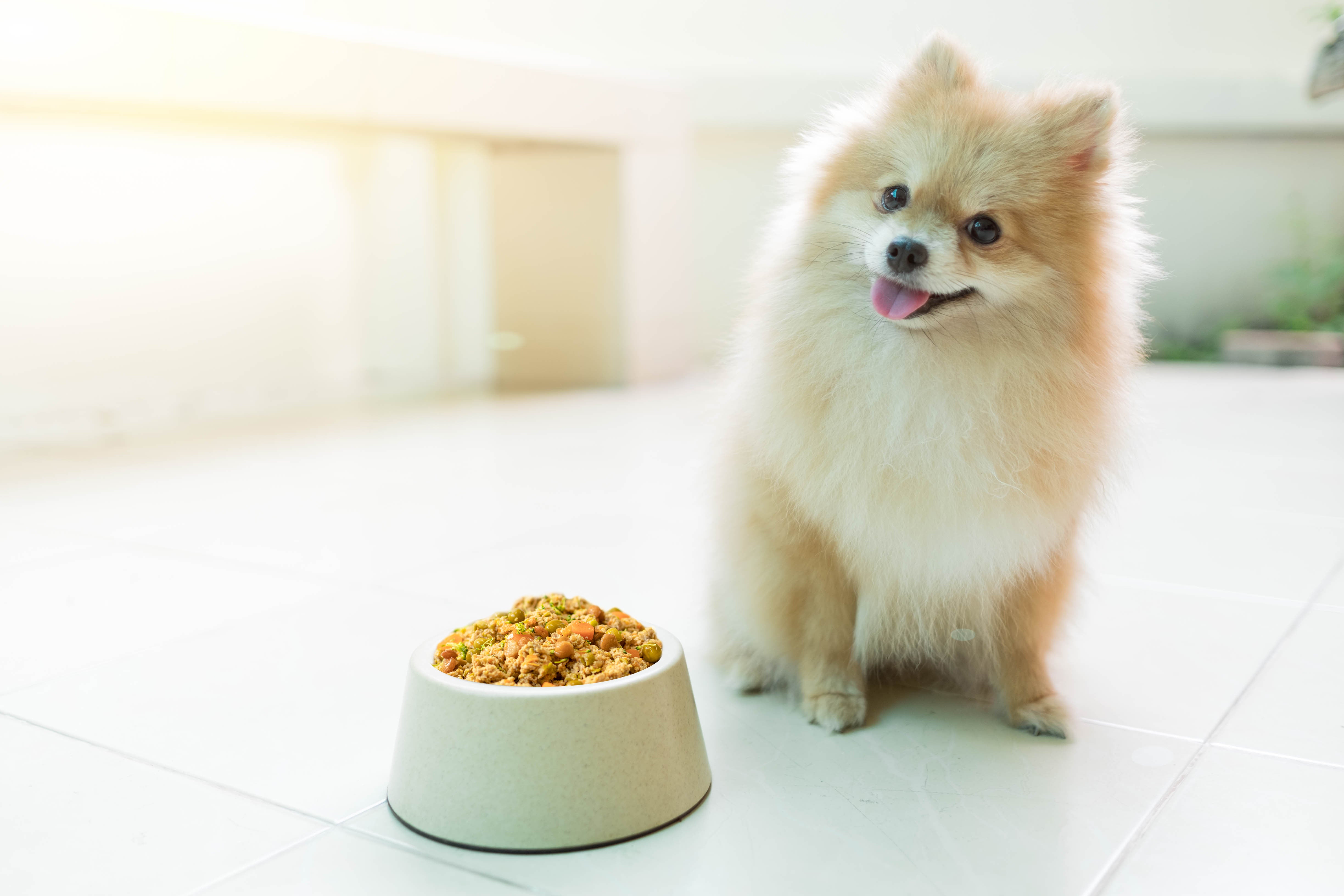 ¿Qué proteínas tiene el pollo?