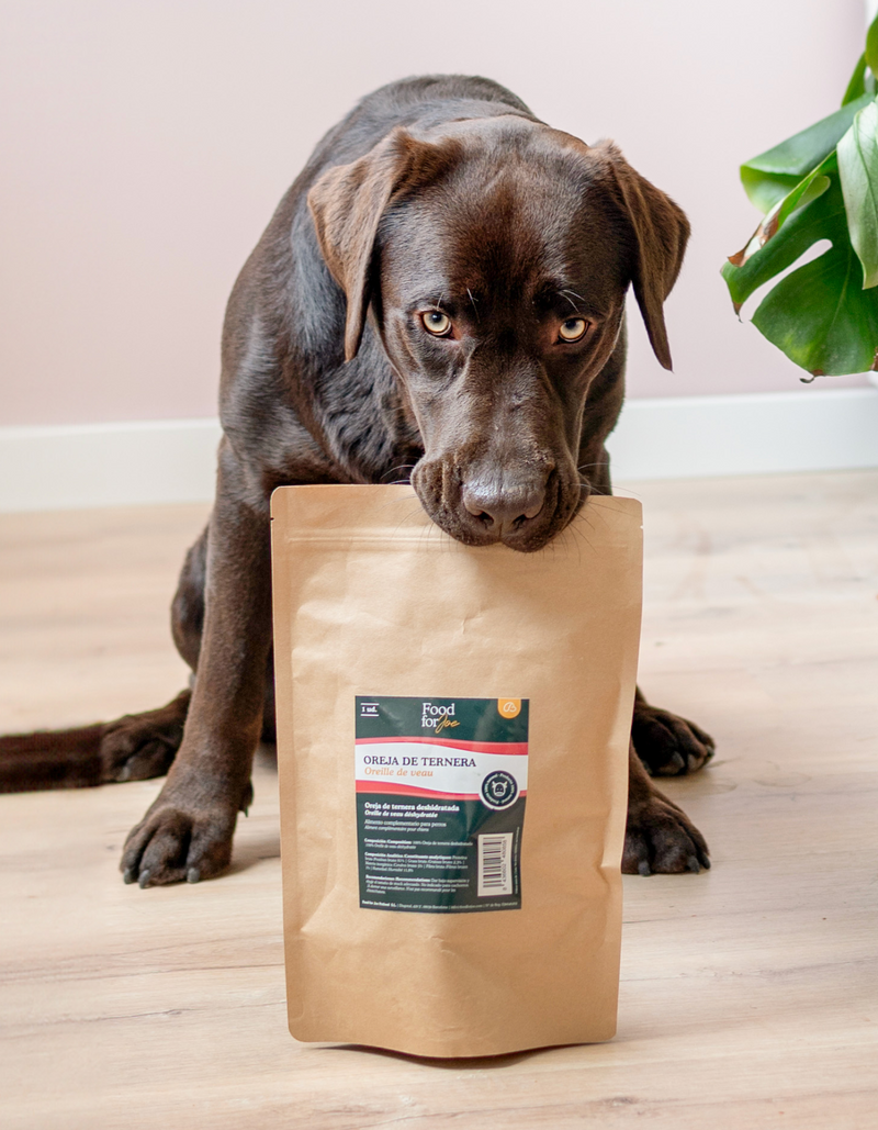 Snacks naturales para mascotas Food for Joe