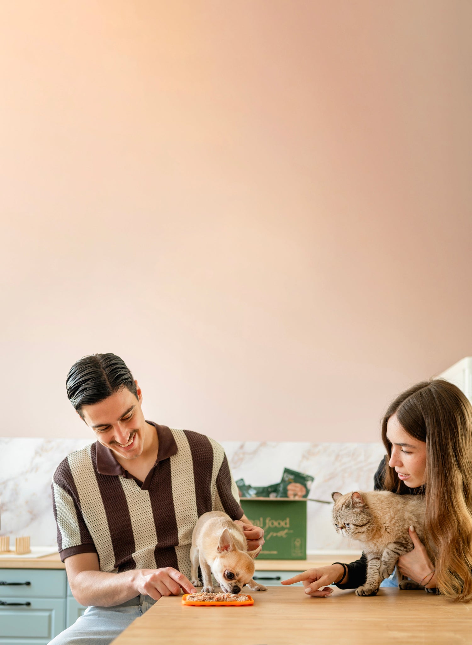 Black Friday Mascotas