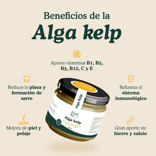 Alga Kelp en polvo - Suplemento 100% natural para perros y gatos