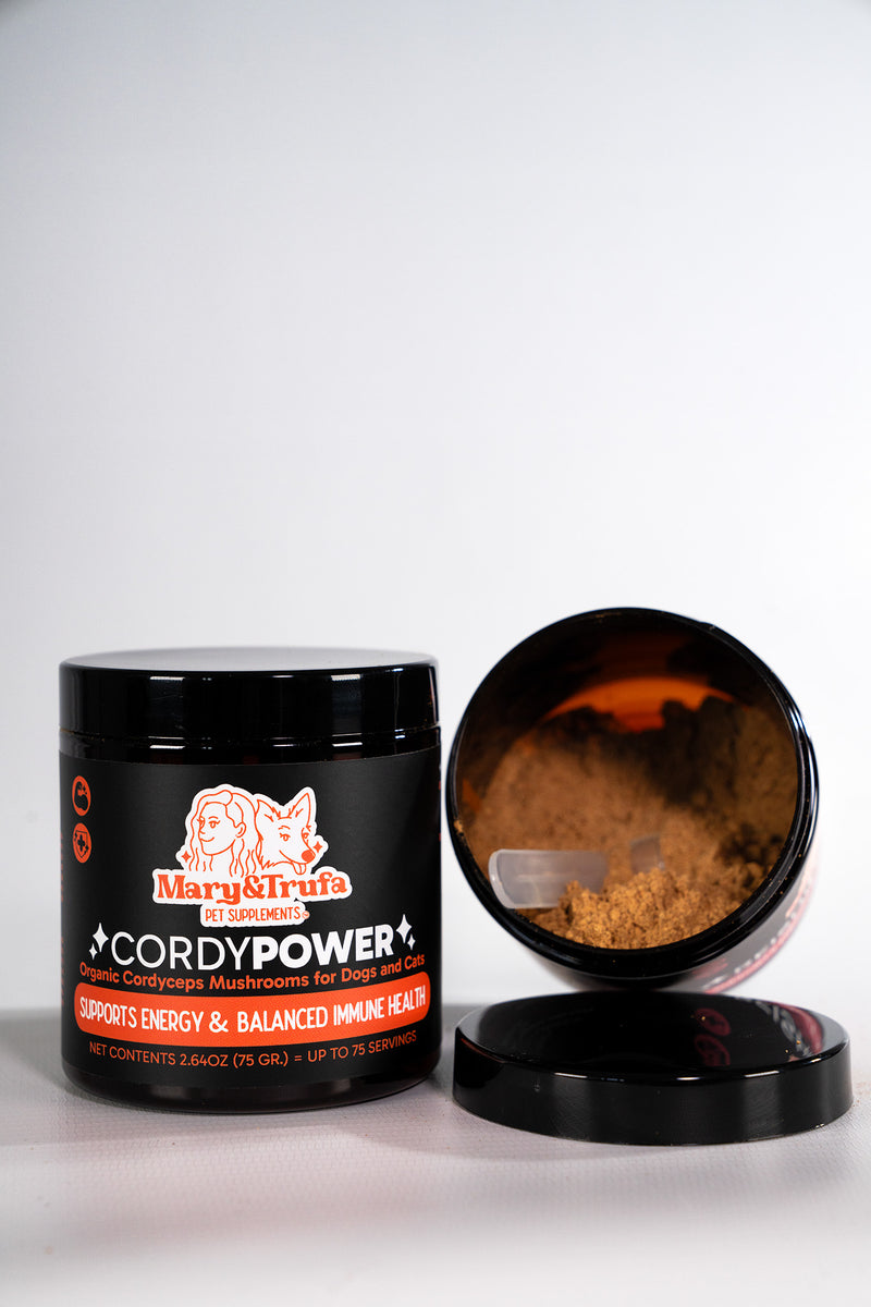 Cordypower - Hongos medicinales para perro y gato