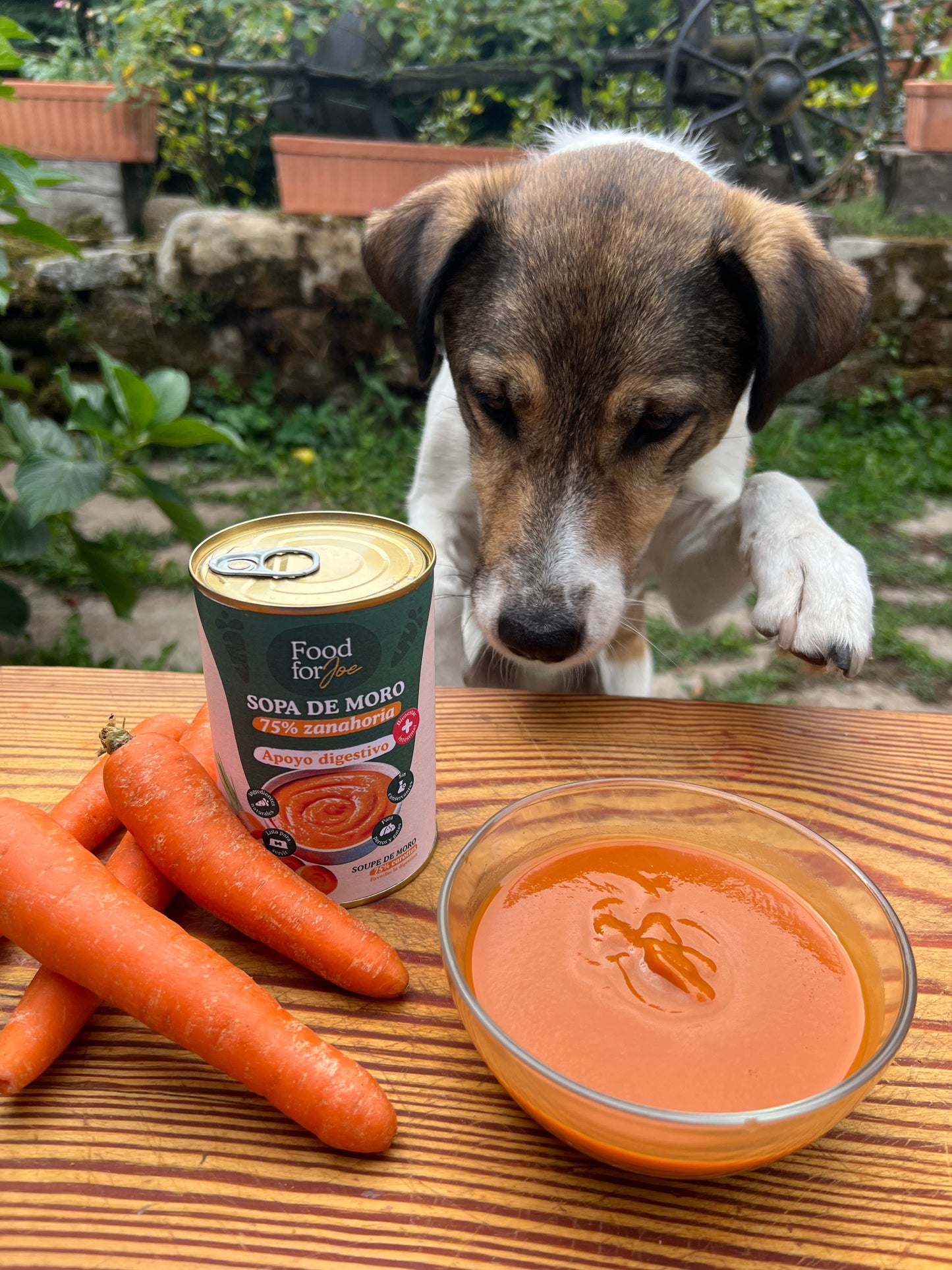 Sopa de moro - 75% zanahoria - Apoyo digestivo - 390g