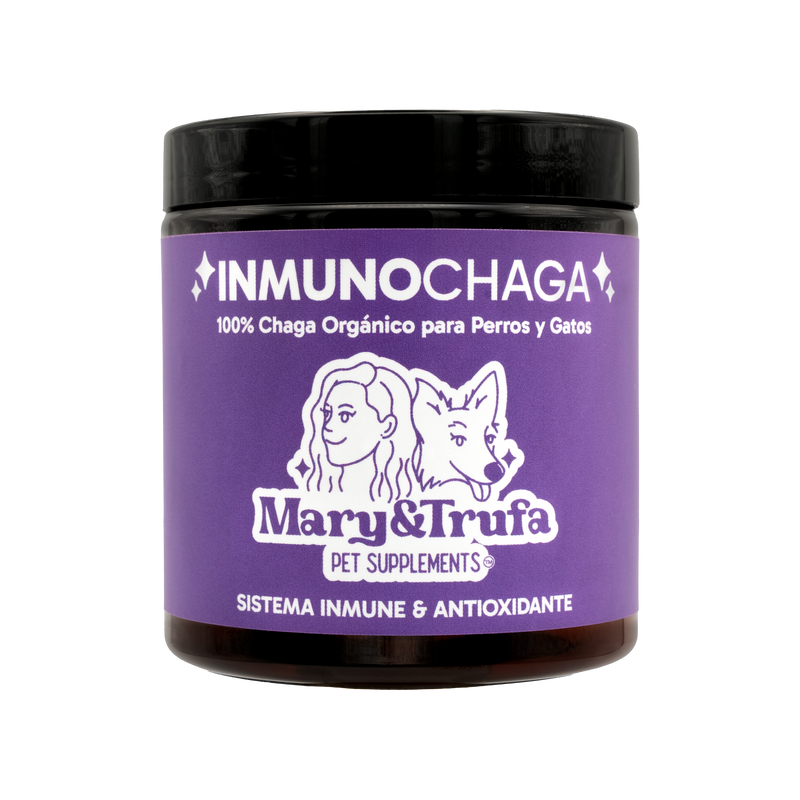 Polvo de Hongo Chaga Orgánico | Mary&Trufa