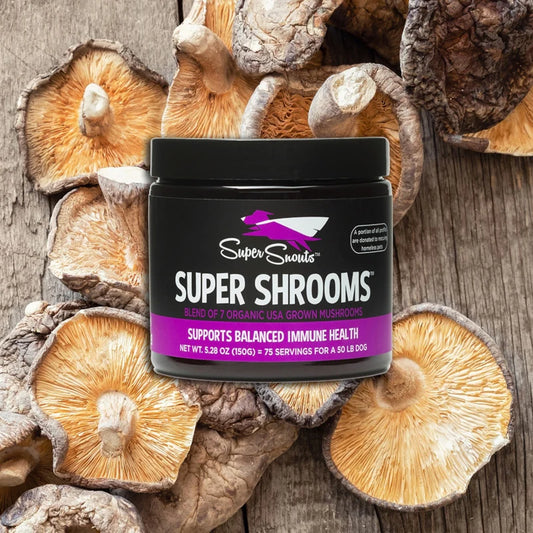 Super Shrooms - Hongos medicinales para perro y gato