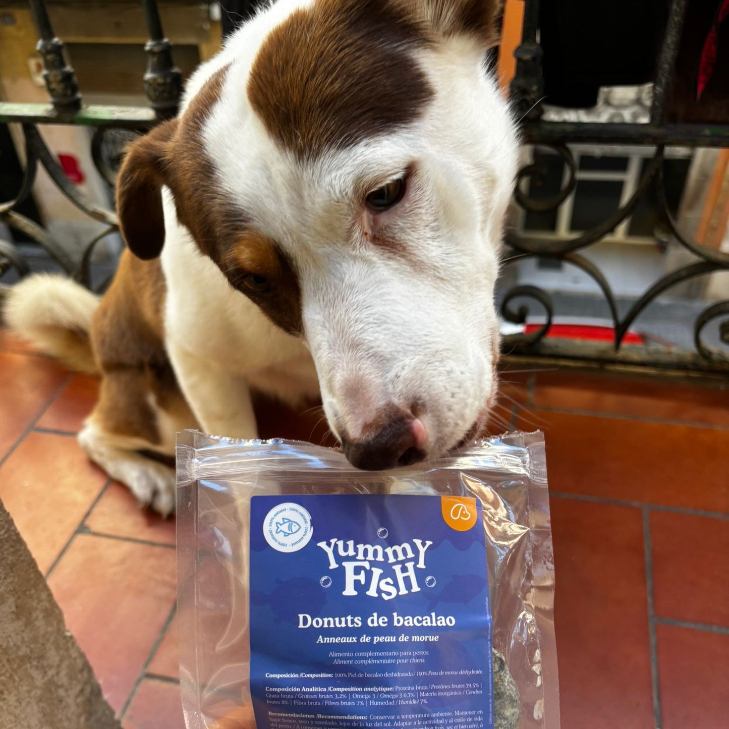 YUMMY FISH - Donuts de bacalao - Snack 100% natural