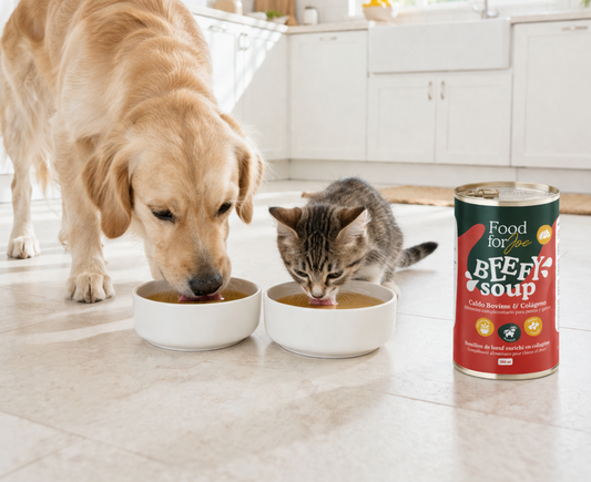 Beefy Soup - Caldo bovino para perros y gatos