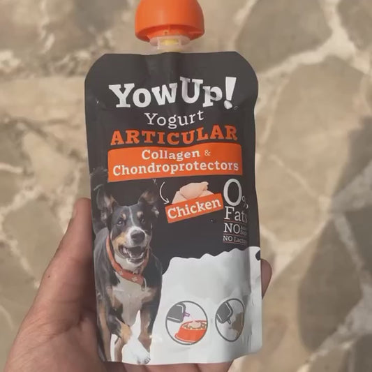 Yow Up yogur para perro con pollo - especial articulación