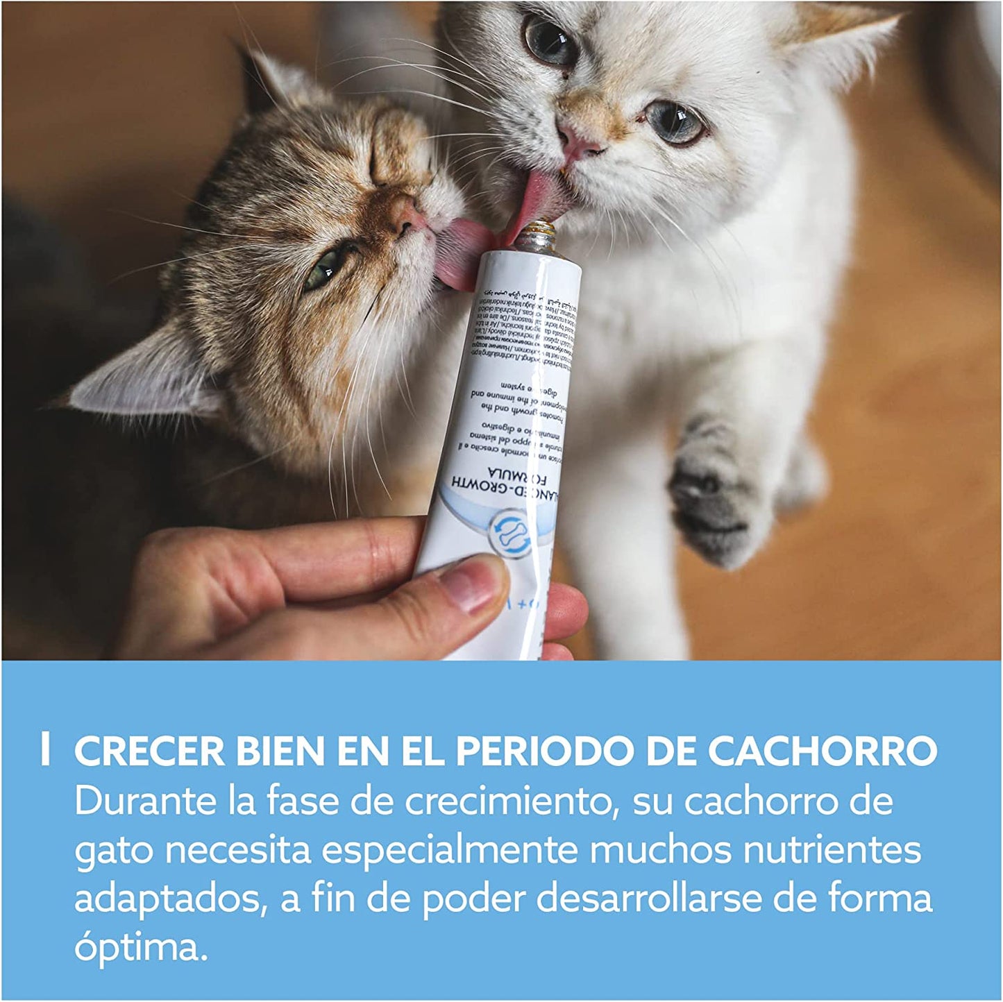 GimCat EXPERT LINE Kitten: Snack para gatinhos - 50g
